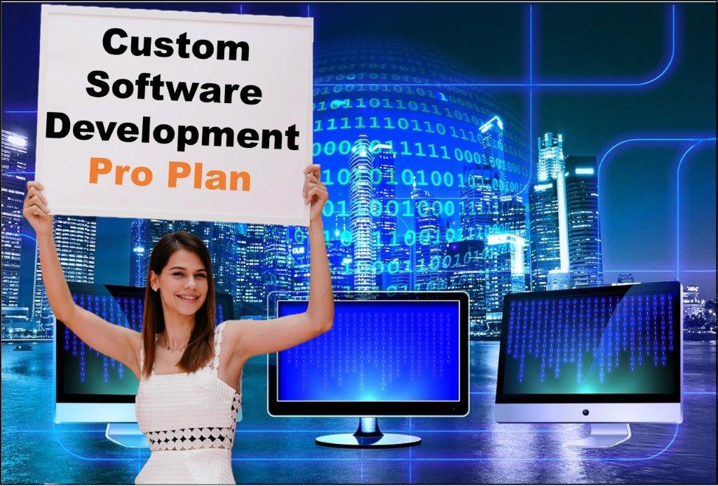 custom software development agency in Raleigh North Carolina