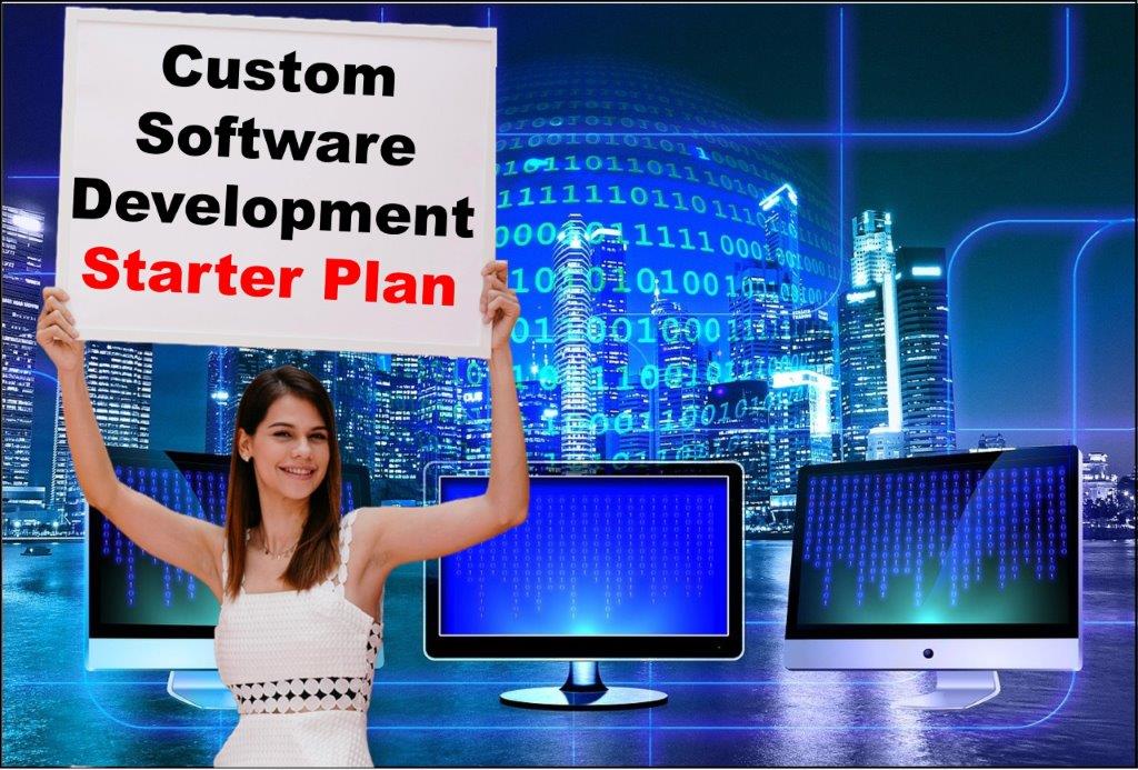 custom software development services in Raleigh North Carolina