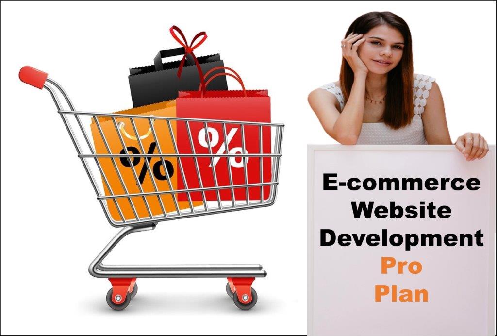 professional ecommerce website development agency in Raleigh North Carolina