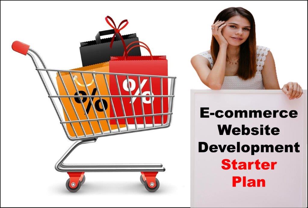 E-Commerce Website Development in Raleigh North Carolina