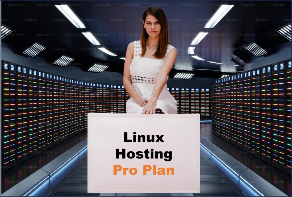 linux hosting windows hosting provider in Raleigh North Carolina