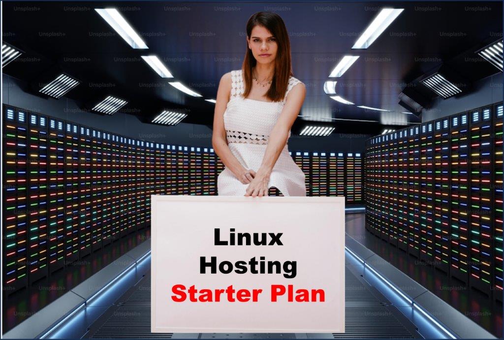 Website Hosting in Raleigh North Carolina