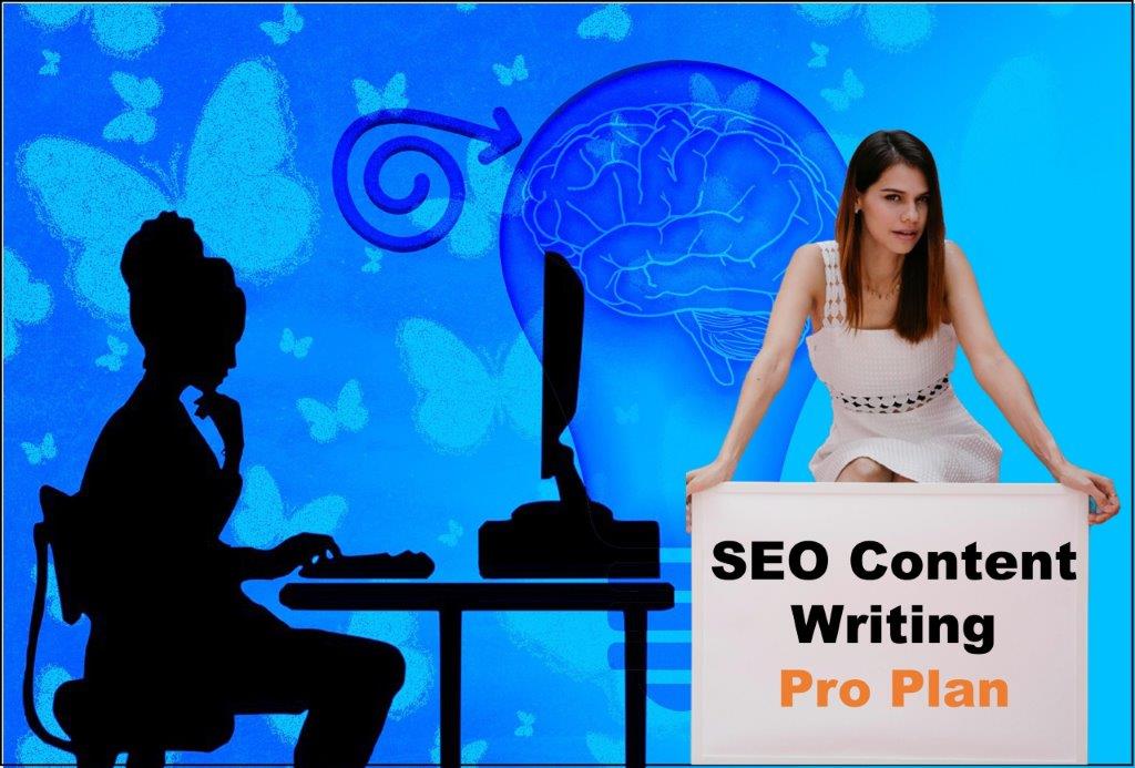 seo content writing agency Raleigh North Carolina