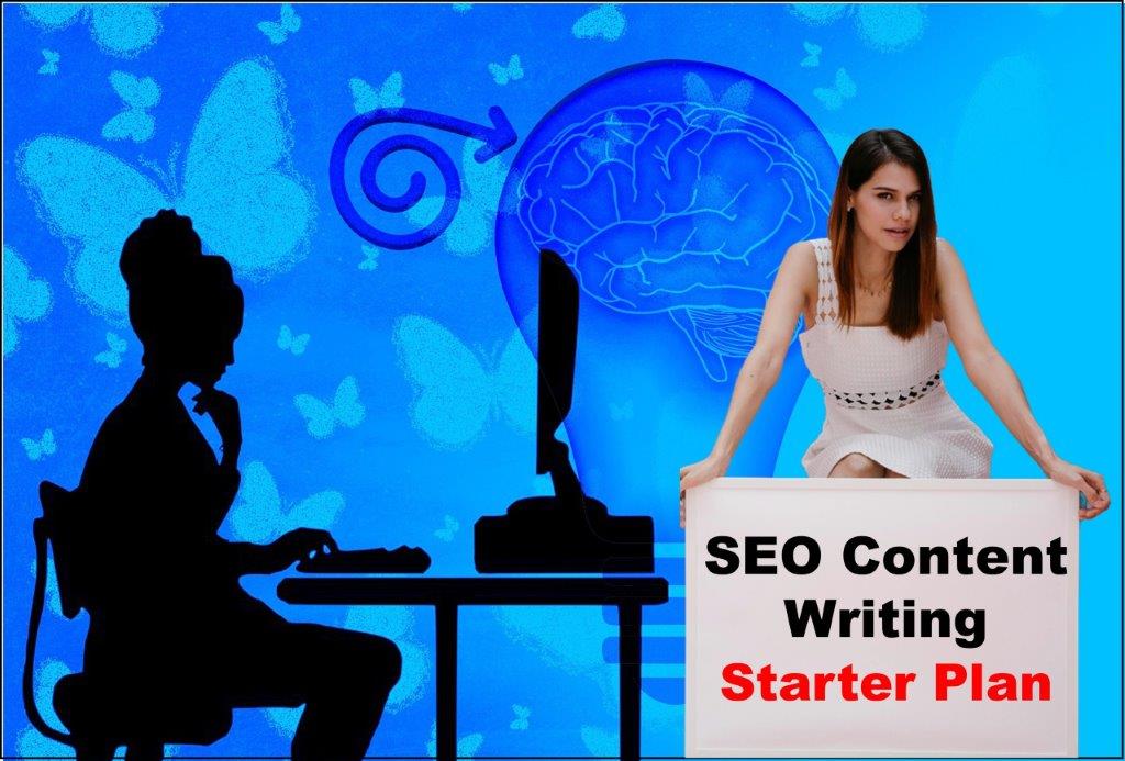 seo content writing service provider in Raleigh North Carolina