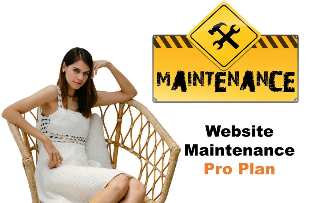 website maintenance agency in Raleigh North Carolina