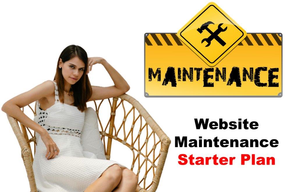 website maintenance service in Raleigh North Carolina