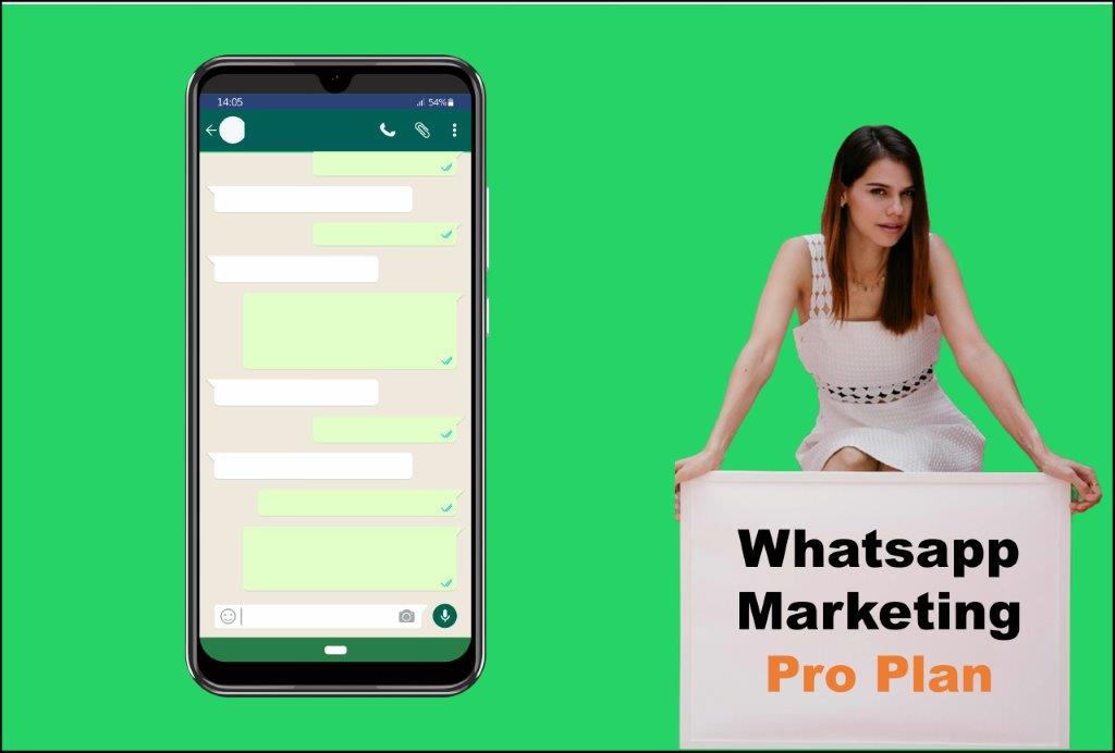 whatsapp marketing agency in Raleigh North Carolina
