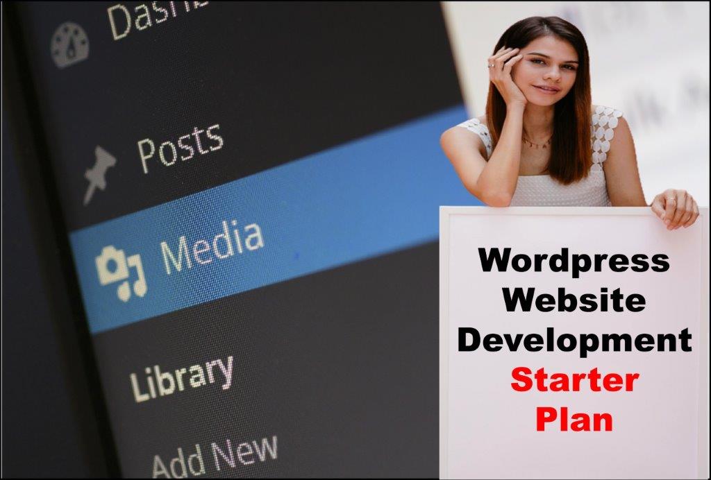 Wordpress Website Development in Raleigh North Carolina